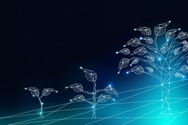 Digitalizzazione imprese italiane